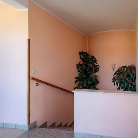 Oleander * Pašman